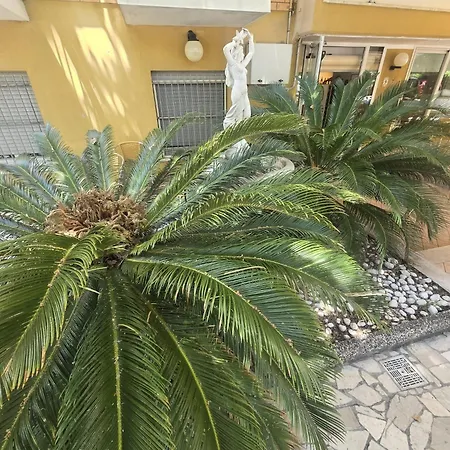 Hotel Majorca Nuova Gestione Rimini 100 M Dalla Spiaggia